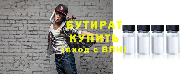 крисы Коряжма
