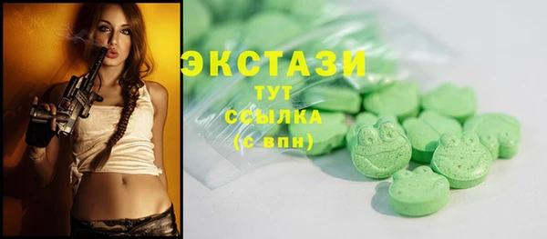 крисы Коряжма