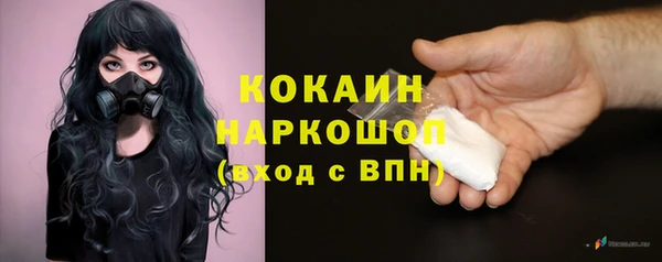 дмт Корсаков