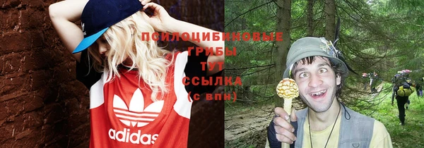 крисы Коряжма