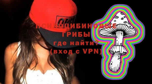 дмт Корсаков