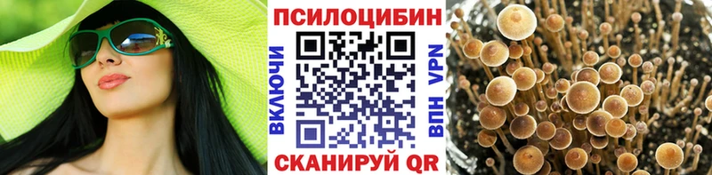 Псилоцибиновые грибы мухоморы  магазин продажи   Москва 